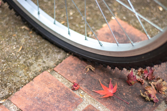 紅葉と自転車　秋イメージ