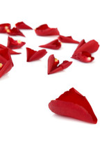 Red rose and rose petals for st valentine's day