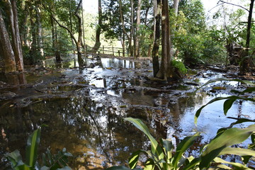 Peaceful Water Before Flowing Over Kuang Si Waterfall, Laos 4
