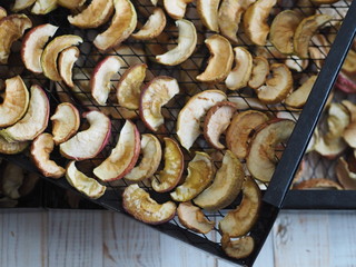 Sliced apples are dried on a metal wire rack from a home dryer.