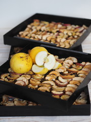 Sliced apples are dried on a metal wire rack from a home dryer.