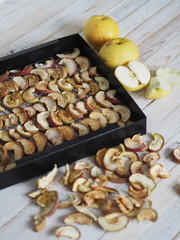 Sliced apples are dried on a metal wire rack from a home dryer.