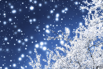 Christmas, New Years blue floral background, holiday card design, flower tree and snow glitter as winter season sale promotion backdrop for luxury beauty brand