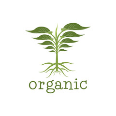 Vector logo about green plants.