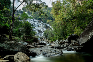 Nature rainforest landscape of Mae Ya Waterfall In Chiang Mai.