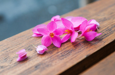 Fototapeta na wymiar Antigon flowers on the wooden table