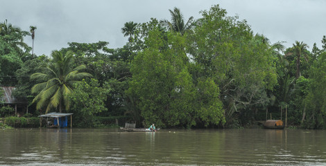 Small canal with many palm trees