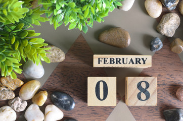 February 8, Number cube design in natural concept.