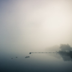 ponton sur un lac le matin dans le brouillard