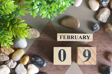 February 9, Number cube design in natural concept.