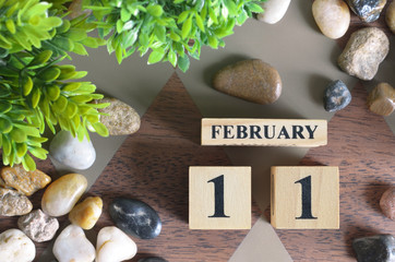 February 11, Number cube design in natural concept.