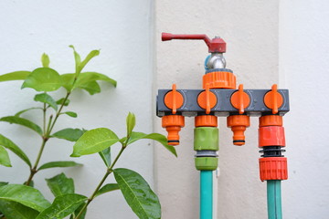 faucet head system water in garden