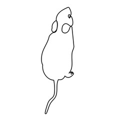 vector, isolated, simple drawing with a continuous line mouse, rat