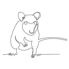 isolated, simple drawing with a continuous line mouse, rat