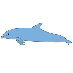  isolated, dolphin blue one, swimming