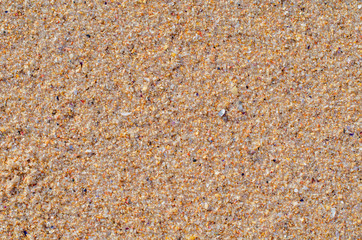 Background texture of sand, small stones and shells. Beach on the ocean coast in Portugal.