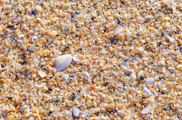 Background of sand, small stones and shells. Beach on the ocean coast in Portugal.