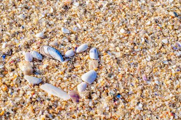 Heart made of shells on the sand at the beach. Valentine's Day. Background. Close up.