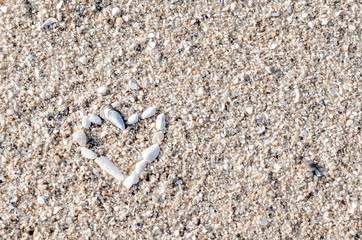 Heart made of shells on the sand at the beach. Valentine's Day. Background. Close up.