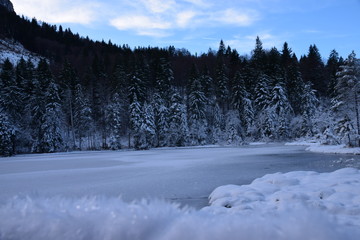 Schneelandschaft