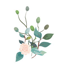 cute rose with branches and leafs isolated icon vector illustration design