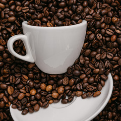 white coffee cup lies in roasted coffee beans of the highest standard
