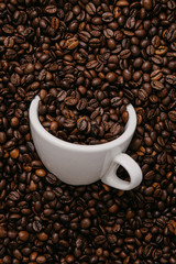 white coffee cup lies in roasted coffee beans of the highest standard