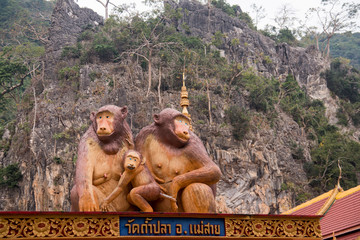 THAILAND MAE SAI WAT THAM PLA TEMPLE