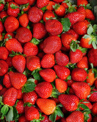 Red strawberry fruits at rural market