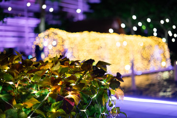 decoration light christmas celebration on garden bushes, abstract image blurred defocused background