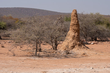 Termite Hill in Kaokoveld, Namibia