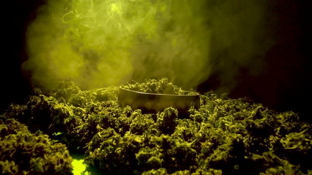 Slow motion tracking shot of sorted dried and treated buds of medical cannabis. Beautiful marijuana buds in a golden plate. CBD healthcare. Hemp legalization. Chroma key background. Cloud of smoke.