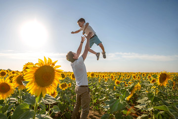 A brave father throws up his cute little son in a sunflower field. Both are laughing. Bright summer day.