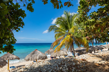Trinidad, Cuba. Coconut on an exotic beach with palm tree entering the sea on the background of a...