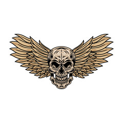 Vintage cartoon winged skulls isolated retro vector illustration on a white background. Great design for any purposes.