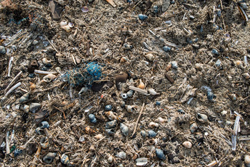 Müll am Strand