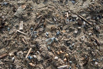 Müll am Strand
