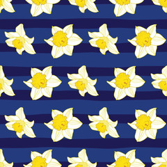 Fototapeta na wymiar Seamless pattern of daffodil on dark blue stripes