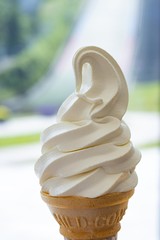 新鮮な牛乳から作った美味しいソフトクリーム