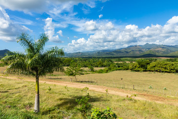 Fototapeta na wymiar Valle de los Ingenios (Valley sugar mills) in Cuba, a famous tourist destination and a major sugarcane growing area.
