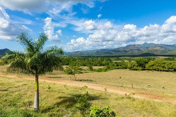 Valle de los Ingenios (Valley sugar mills) in Cuba, a famous tourist destination and a major sugarcane growing area.