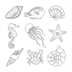 Set of shells and sea animals