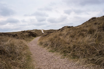Dünenlandschaft bei bewölktem Himmel an der Nordsee