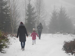 family of three walk along a trail in a forest covered in fog
