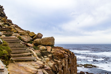 Hiking trail at the coast of Cape of Good Hope with steep cliffs and a rough sea, South Africa