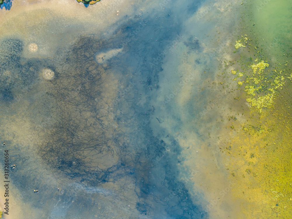 Wall mural Swamp wetlands aerial