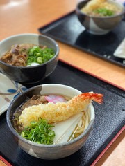 年明けうどん