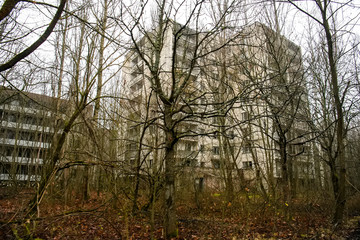 Abandoned ghost town Prypiat. Overgrown trees and collapsing buildings in Chornobyl exclusion zone....