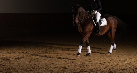 Dressage horse (arranged on the right with copy space) under a rider in the riding hall,...