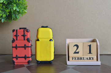 Appointment Date, February 21, Holiday, Travel cover with number cube and luggage.	